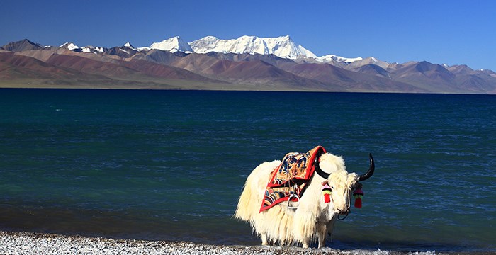 Nam Tso See und Nianqingtanggula Berg